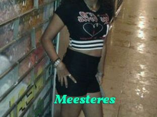 Meesteres