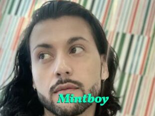 Mintboy