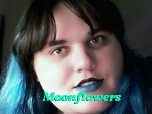 Moonflowers