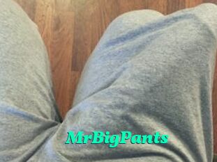 MrBigPants