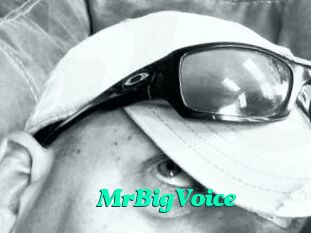 MrBigVoice