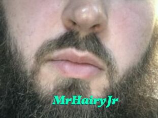 MrHairyJr