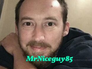 MrNiceguy85