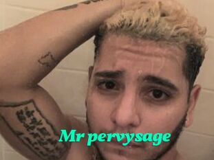 Mr_pervysage