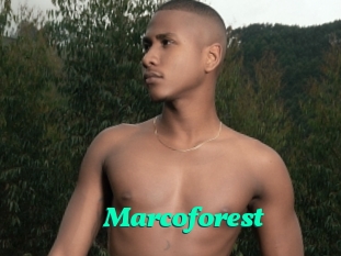 Marcoforest