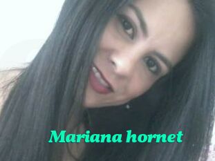 Mariana_hornet