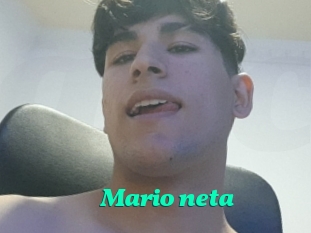 Mario_neta