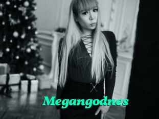 Megangodnes