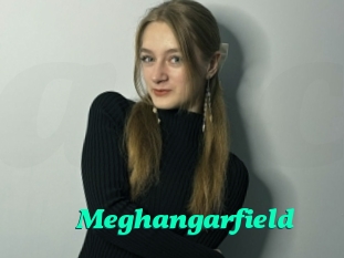 Meghangarfield