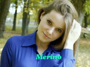 Merino