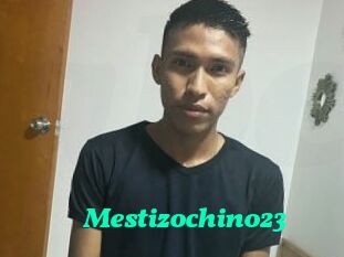 Mestizochino23