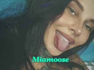 Miamoose