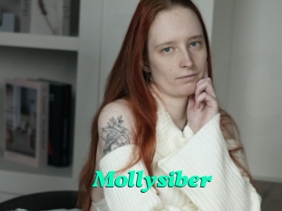 Mollysiber