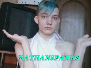 NATHAN_SPARKS