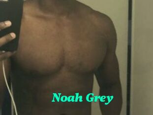 Noah_Grey