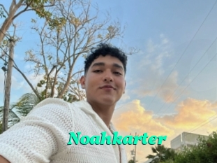 Noahkarter