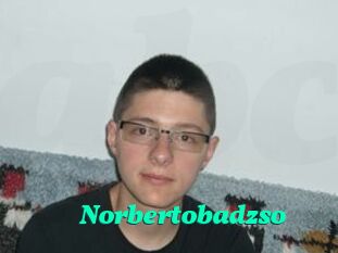 Norbertobadzso