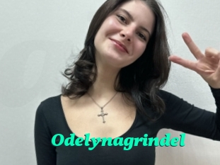 Odelynagrindel