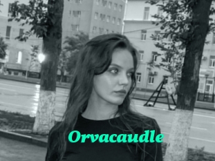 Orvacaudle