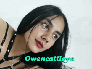 Owencattleya