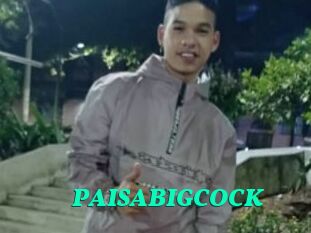 PAISABIGCOCK