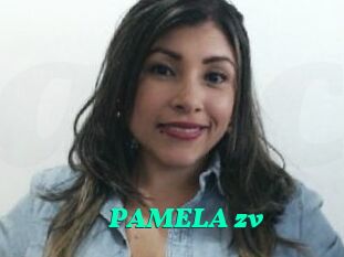 PAMELA_zv