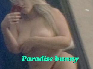 Paradise_bunny