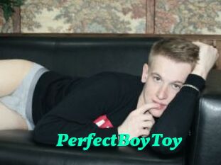 PerfectBoyToy