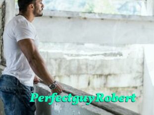 PerfectguyRobert