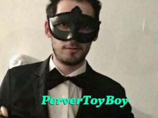 PerverToyBoy