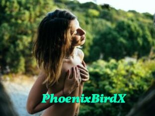 PhoenixBirdX