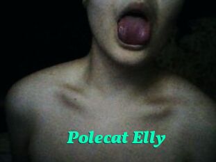 Polecat_Elly