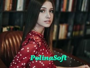 PolinaSoft