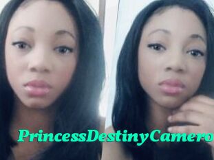 PrincessDestinyCamero