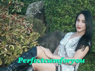 Perfectcumforyou