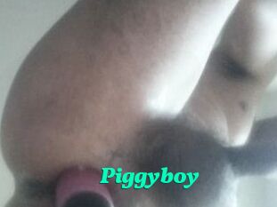 Piggyboy