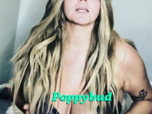 Poppybud