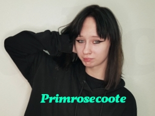 Primrosecoote