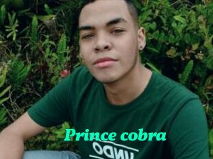 Prince_cobra