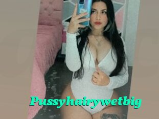 Pussyhairywetbig