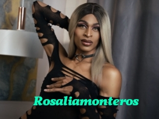 Rosaliamonteros