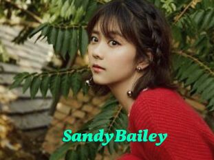 SandyBailey