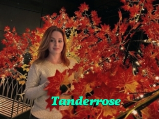 Tanderrose