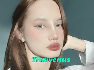 Thaivenus