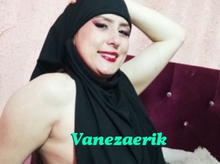 Vanezaerik