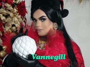 Vannegill