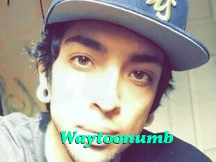 Waytoonumb