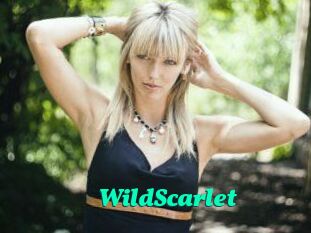 WildScarlet