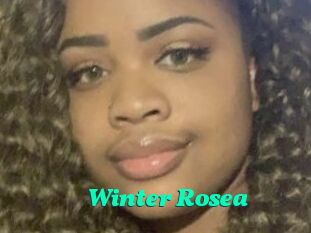 Winter_Rosea