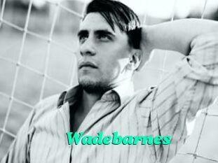 Wadebarnes